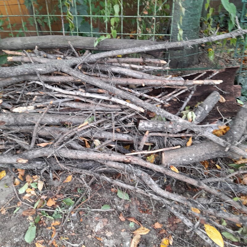 Donatie lemne de foc,