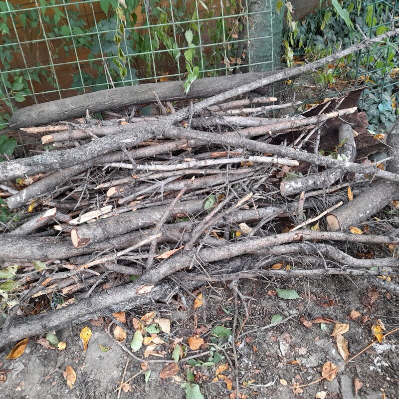 Donatie lemne de foc,