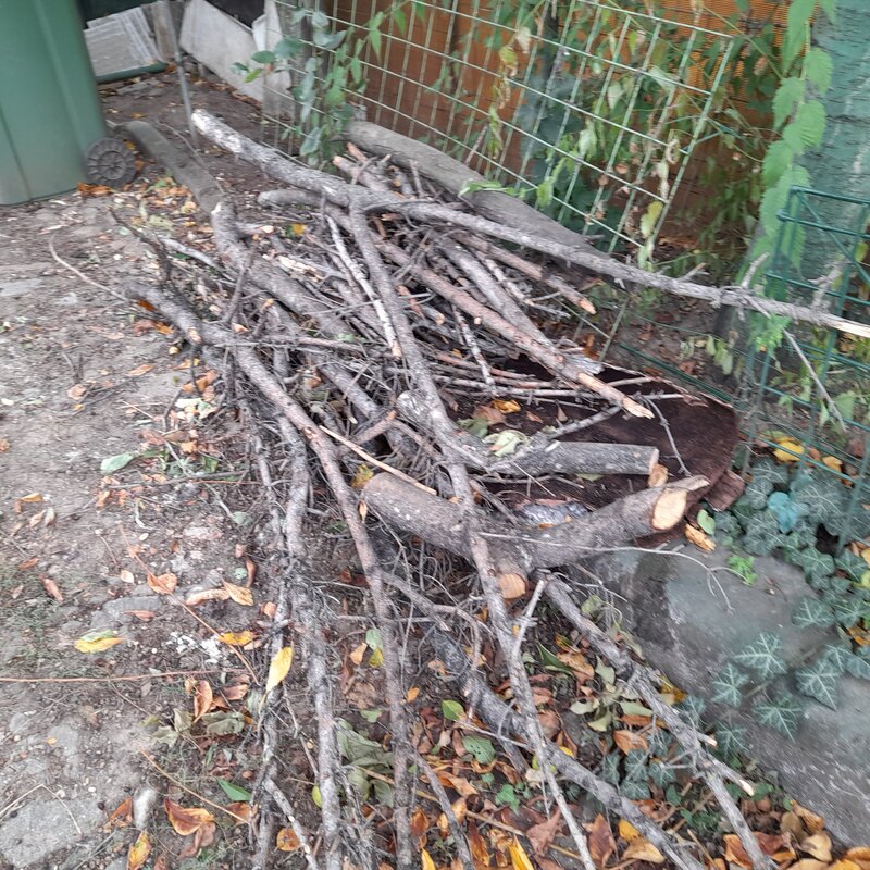 Donatie lemne de foc,