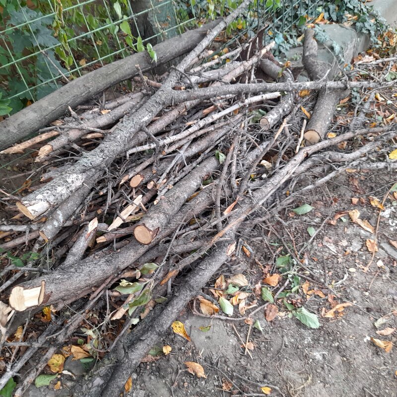 Donatie lemne de foc,