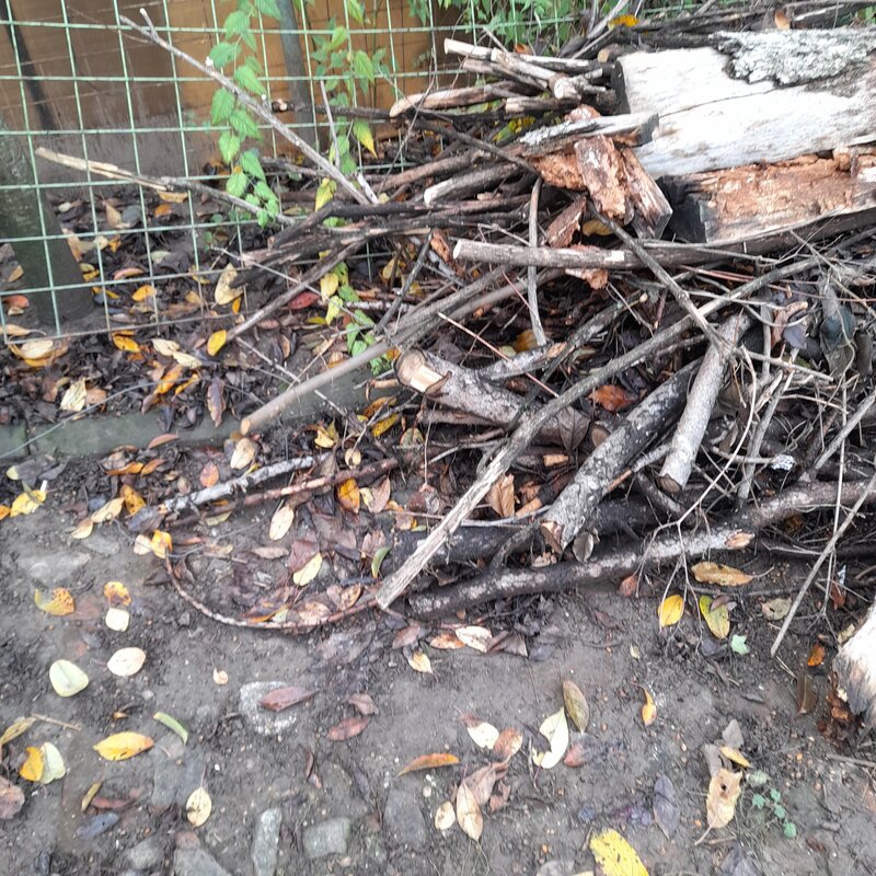 Donatie lemne de foc,